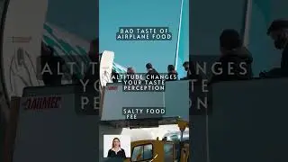🌍Plane food tastes different on the ground!✈️