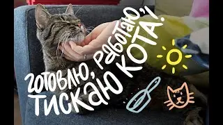 April Vlog🌤 Meal Prepping, Working, Showing You Our Cat