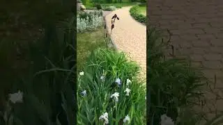 Усадьба Тютчева Овстуг.