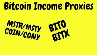 Bitcoin Correlated Income Assets: MSTR/MSTY, COIN/CONY, BITO, BITX