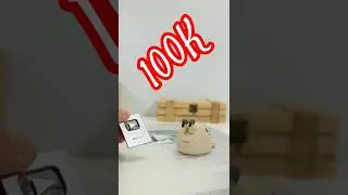Qute get the YouTube SILVER button 😲 100.000 subs