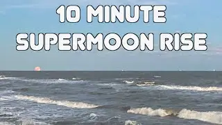 SUPERMOON Rise Over the Gulf of Mexico in Real Time  October 17, 2024