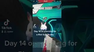 #gaming #valorant #valorantshorts #valorantclip #valorantclips #riotgunbuddy