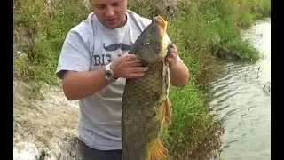 Карп Монстр 10 кг Fishing Carp