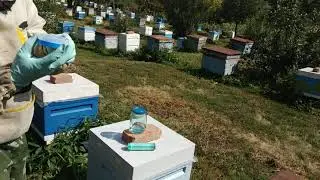 Оборудование для обработки муравьиной кислотой
