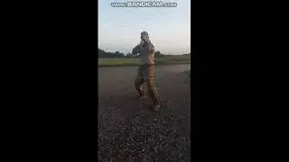 #Ninja #Training #The #technique #of #elbows #and #knees #at #close #range