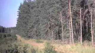 Поездка на РА1 по ветке Кривандино - Рязановка