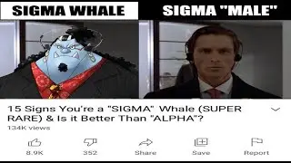 Jimbei sigma whale grindset