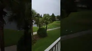 Bradenton hurricane Irma 1:30 p.m. September 10th 2017