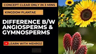 Angiosperms vs Gymnosperms | Differences & Basic concept in urdu | Quick differences in 3 minutes