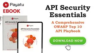 Payatu Free eBook: API Security Essentials - A comprehensive OWASP Top 10 API Playbook