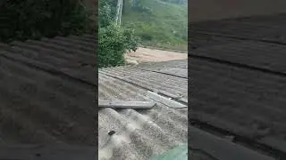Прятки продолжаются