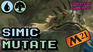Simic Mutate & M21 Spoilers