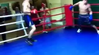 Спарринг