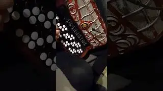 #accordion #folk #shorts