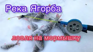 Ловля на мормышку река Ягорба Зимняя рыбалка 🎣