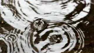 RAIN VIDEO FOOTAGE FREE - RAIN STOCK FOOTAGE | FREE HD VIDEO - NO COPYRIGHT 26