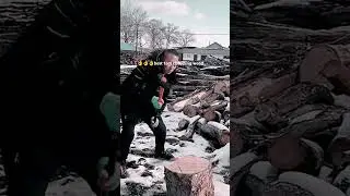 Best axe chopping wood for cooking