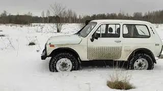 Выгул без поводка