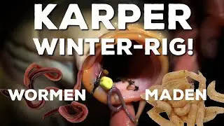 Karpervissen in de winter moeilijk? Niet met deze rig!
