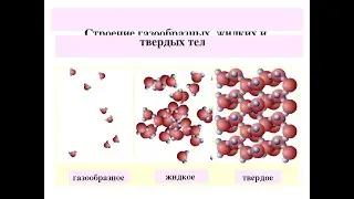 ЕСТЕСТВОЗНАНИЕ 5 КЛАСС  Структура твердых, жидких и газообразных веществ