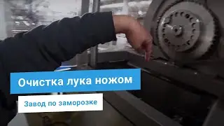 Линия очистки лука ножевыми машинами M&P для заморозки на заводе. Всего 10% отхода! Нарезка лука.