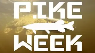 Pike Week- TOR-TV Ep. 2