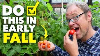 Garden Checklist: 12 Tasks You Need to do in September