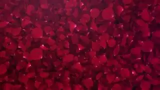 Petals Logo Reveal | After Efects Project Files