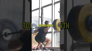 Why You Should Squat