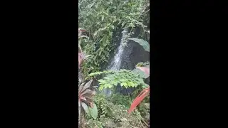 Peaceful Calming All Natural Waterfall Falling Like This Every Day At The Dreamy Red Frog Beach Reso