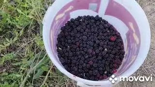 Պետք է կատարեմ բոլոր գործերս ,որ վաղը գնում եմ...