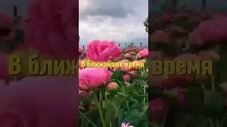 Принимай послание Вселенной для тебя . Для энергообмена поставь ❤️ и подпишись ✅