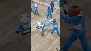 Тренировки по Кудо Егор  (часть 98)