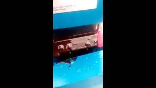 Иваново работа  скиммера