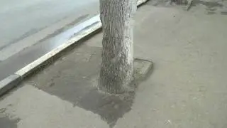 Бордюры в самом центре Рязани