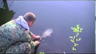 Серега отпустил карпа