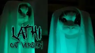 Lathi - Cat Version