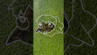Infinite Fish Glitch?