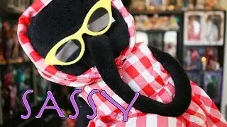 NEW FASHIONS - SUPER SASSY SUPER CHIC SUPER DELICIOUZ