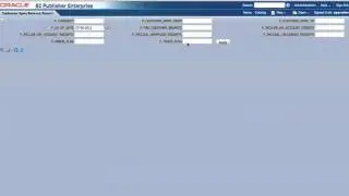 BIP EBS Role Based Data Security Support