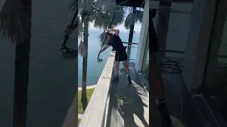 WCR Affiliate Welcomes: Glassy Lady Window Cleaning!