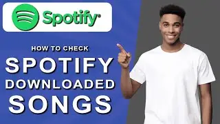 How to check spotify downloaded songs (2024)