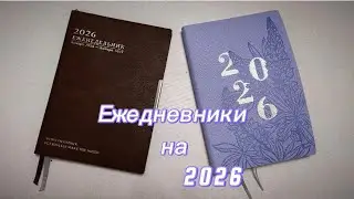 Ежедневники / Planer / на 2026 год  📚