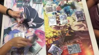 Dark Irregular Scharhot Vs. Shadow Paladin Luard G3