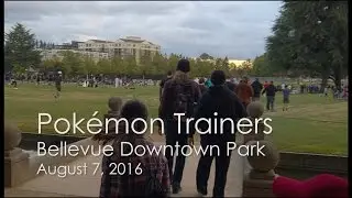 Pokémon Trainers