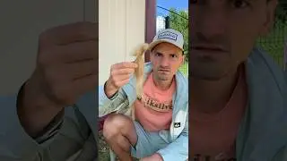 Раскопки / похоже кого-то привязывали волосами