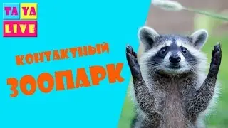 Контактный зоопарк Макки - Пакки Одесса Развлечения для детей.