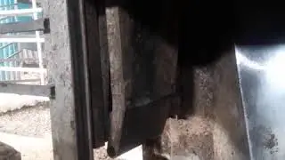 Бокс для оглушения КРС, пневмо закрытие