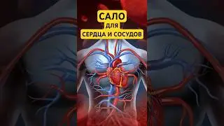 Польза сала для сердца и сосудов!  Чем полезно свиное сало? #сало #здоровье